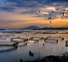 泰兴伴游中国网景点丰富(旅游网介绍)