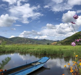 泰兴旅游游记(旅游游记怎么写)