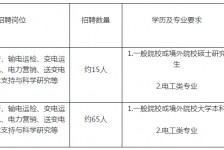 泰兴重庆有雇用伴游外围吗(高端外围伴游雇用一单一结)