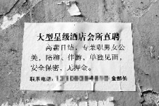 泰兴珠海伴游雇用网(珠海游览社雇用信息)
