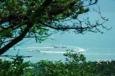 泰兴中国伴游网与你分享旅游的点滴(中国伴游网与你分享旅游的点滴是什么)
