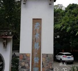 泰兴关于伴游中国伴游你们伴得是什么游的信息