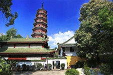 泰兴广州自由行(广州 自由行)