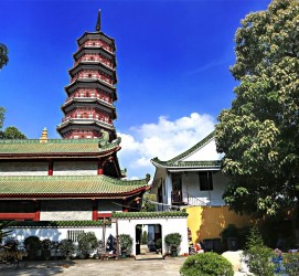 泰兴广州自由行(广州 自由行)