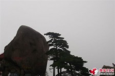 泰兴上海伴游私家陪游雇用女模(上海伴游私家陪游雇用女模特)