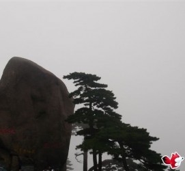 泰兴上海伴游私家陪游雇用女模(上海伴游私家陪游雇用女模特)