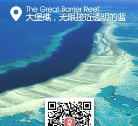 泰兴中国250家旅行社结伴游新西兰(新西兰当地旅行社)