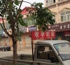 泰兴上海伴游 用伴游造句大全(5