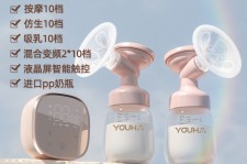 泰兴奶模(奶模型)
