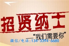 泰兴酒店雇用伴游(酒店雇用伴游办事员)