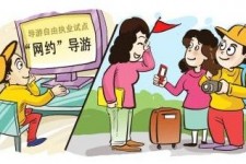 泰兴伴游是什么