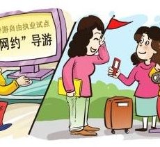 泰兴伴游是什么