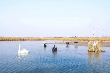 泰兴南昌附近伴游小妹兼职(1534939978姐的微信德惠市)