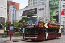 泰兴上海私人伴游 上海过年怎么玩？这些“微游”线路了解下→