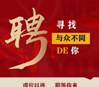 泰兴商务伴游招聘 重庆星级酒店诚招司机服务员夜场保安