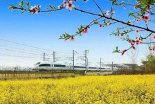 泰兴高铁游(高铁游戏下载手机版)