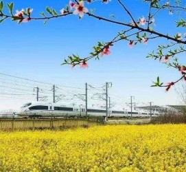 泰兴高铁游(高铁游戏下载手机版)