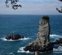 泰兴旅游全攻略(上海旅游全攻略)