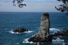 泰兴旅游全攻略(上海旅游全攻略)