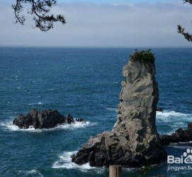 泰兴旅游全攻略(上海旅游全攻略)