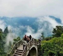 泰兴二日游(二日游旅游攻略)