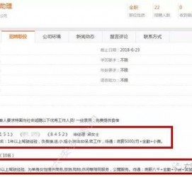 泰兴游艇伴游雇用(游艇办事员雇用)