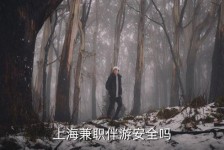 泰兴上海私人伴游 上海伴游，上海兼职伴游安全吗