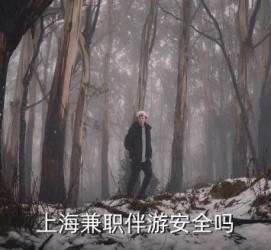 泰兴上海私人伴游 上海伴游，上海兼职伴游安全吗