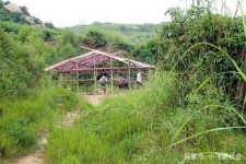 泰兴北海伴游兼职雇用信息(北海伴游兼职雇用信息大全)