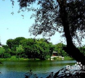 泰兴西湖旅游攻略(上海到杭州西湖旅游攻略)