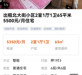 泰兴私人伴游是什么 “过年租友”陷阱：骗财与色情服务