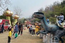 泰兴中国伴游带你打卡网红南山竹海(南山竹海网上预约)