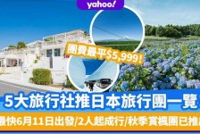 泰兴旅游价格(旅游价格机制)