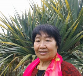 泰兴白叟带老伴游半个中国(白叟外出旅游)