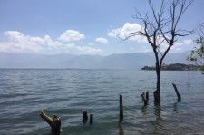 泰兴洱海旅游攻略(洱海旅游攻略自由行)