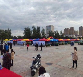 泰兴通辽伴游雇用(哈尔滨伴游雇用)