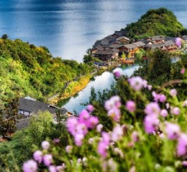 泰兴旅遊(旅游景点)