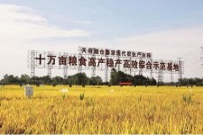 泰兴关于成都商务伴游外围雇用的信息