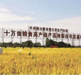 泰兴关于成都商务伴游外围雇用的信息