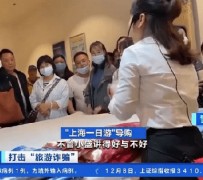 泰兴上海私人伴游 看·法｜100元游上海？！“旅社”涉嫌诈骗被一窝端
