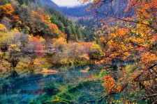 泰兴四川旅游攻略(四川旅游攻略十五日游)