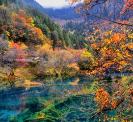 泰兴四川旅游攻略(四川旅游攻略十五日游)