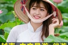 泰兴日本关东伴游中国(日本关西旅行)