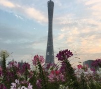 泰兴广州旅游攻略(杭州到广州旅游攻略)