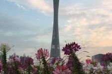 泰兴广州旅游攻略(杭州到广州旅游攻略)