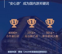 泰兴上海私人伴游 ​ “小而美”的新时代：2020年国内新跟团消费报告