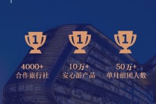 泰兴上海私人伴游 ​ “小而美”的新时代：2020年国内新跟团消费报告