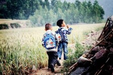 泰兴河南一家四口结伴游中国2个月(河南适合一家四口旅游的地方)