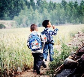 泰兴河南一家四口结伴游中国2个月(河南适合一家四口旅游的地方)