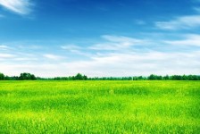 泰兴上海伴游 上海模特伴游微信号的交友宣言